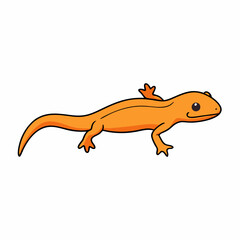newt on white background