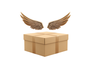 Parcel box with wings
