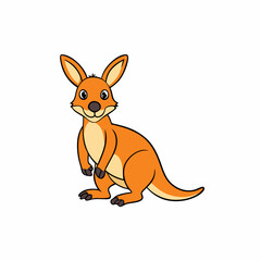 wallaby vector illustration