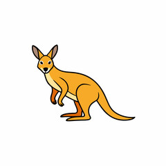 wallaby vector illustration