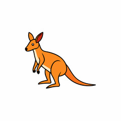 wallaby vector illustration