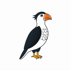 vector illustration of a bird
