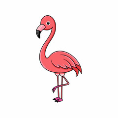 flamingo vector illustration