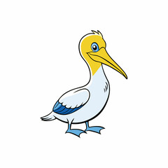 vector illustration of a gannet