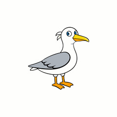 gull isolated on white