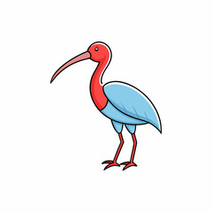 white ibis on white
