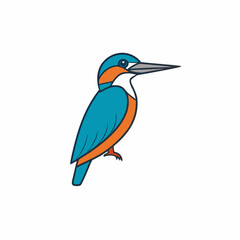 kingfisher on branch