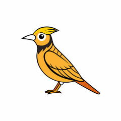 vector illustration of a meadowlark