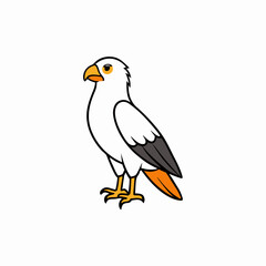 vector illustration of an osprey bird