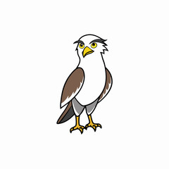 vector illustration of an osprey bird