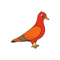 vector illustration of a pigeon