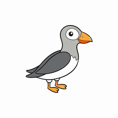 vector illustration of a petrel