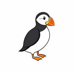 vector illustration of a puffin