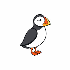 vector illustration of a puffin