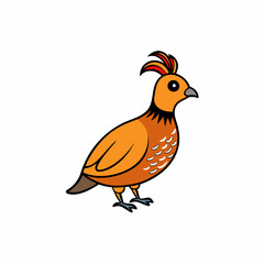 quail isolated on white background
