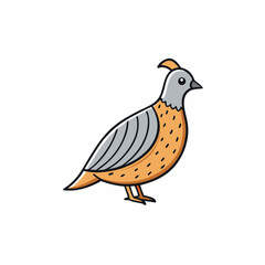 quail isolated on white background