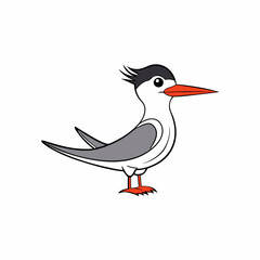 tern bird on a branch