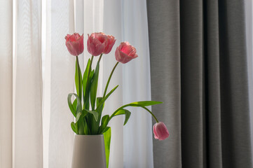 Pink tulips in white vase on white table by window.