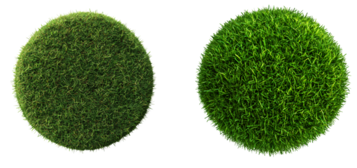 Green, circular grass on a transparent background