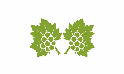 Grapevine Leaves with Bunches of Green Grapes on White Background