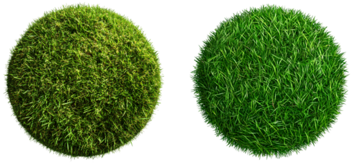 Green, circular grass on a transparent background