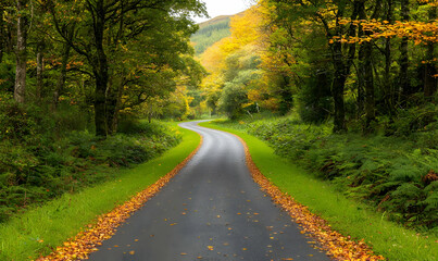 Fototapeta premium Winding Road Through Colorful Autumn Forest with Fallen Leaves