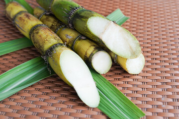 A bunch of sugar cane is cut into small pieces