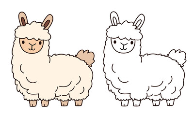 Flat vector illustration for children's coloring book. Cute llama in black and white and color version. Farm pets . Vector illustration