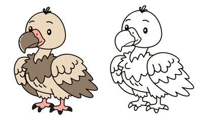 Flat vector illustration for children's coloring book. Cute vulture bird in black and white and color. Wild animals of safari and Africa . Vector illustration