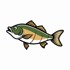 vector illustration of a bass fish