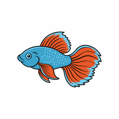 vector illustration of a betta fish
