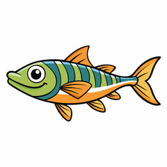 bonito fish on a white background