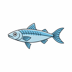 bonito fish on a white background