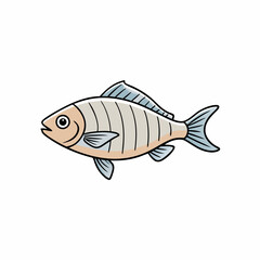 bream fish vector illustration