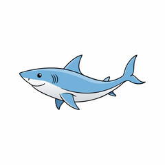 shark vector illustration