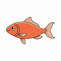 chub fish on a white background