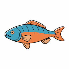 cichlid fish on a white background