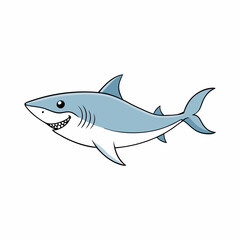 shark vector illustration