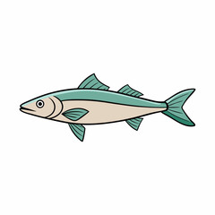 haddock fish on a white background