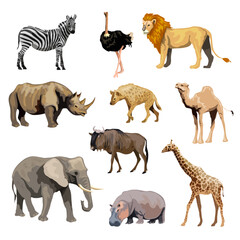 Jungle Animals Vector Illustration – Wild Safari Wildlife Collection (EPS)