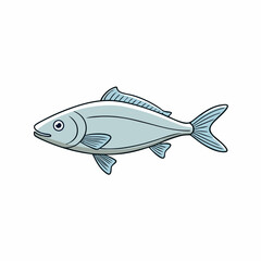 halibut fish on a white background