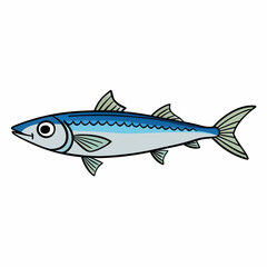 mackerel fish on a white background
