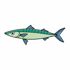 mackerel fish on a white background