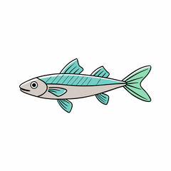 vector illustration of a minnow fish