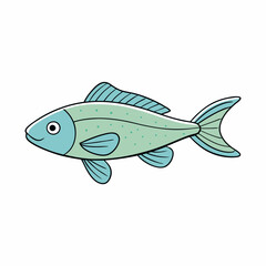 molly fish on a white background