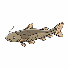 vector illustration of a mud catfish