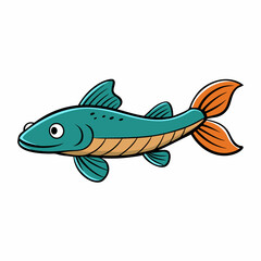 plecostomusfish isolated on white background