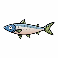 sardine fish isolated on white