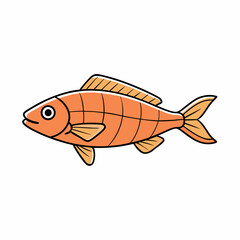 snapper fish on white background