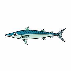 wahoo fish on a white background